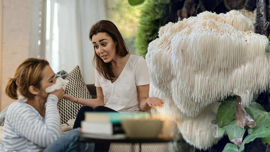 On vous a menti sur votre cerveau !