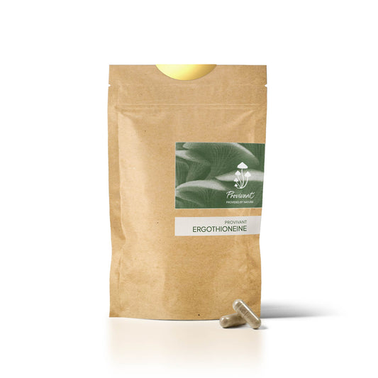 Ergothionéine (Recharge)