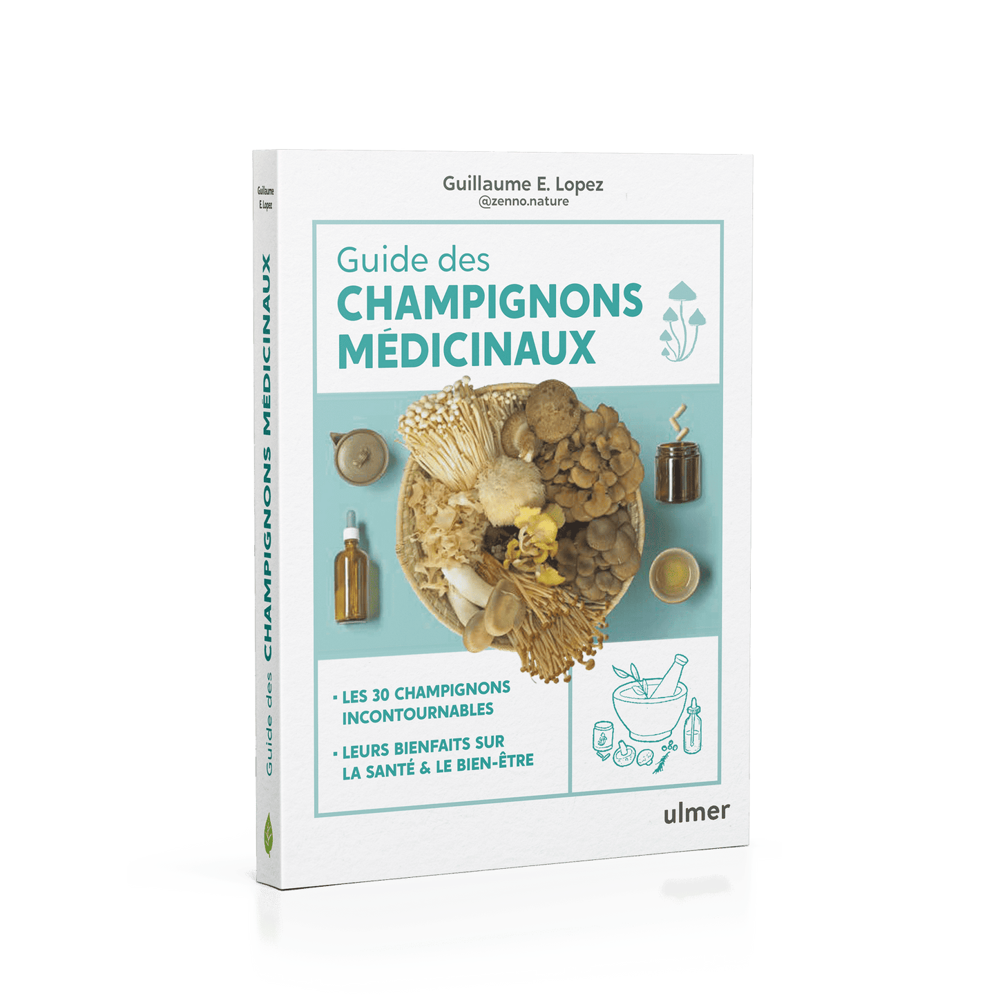 Guide des Champignons Médicinaux
