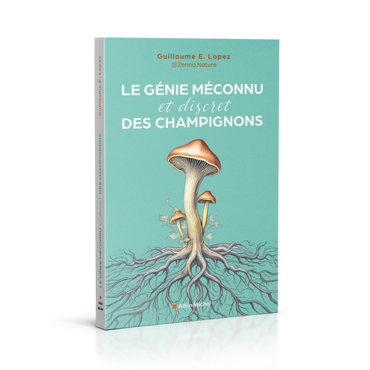 Le Génie Méconnu et Discret des Champignons