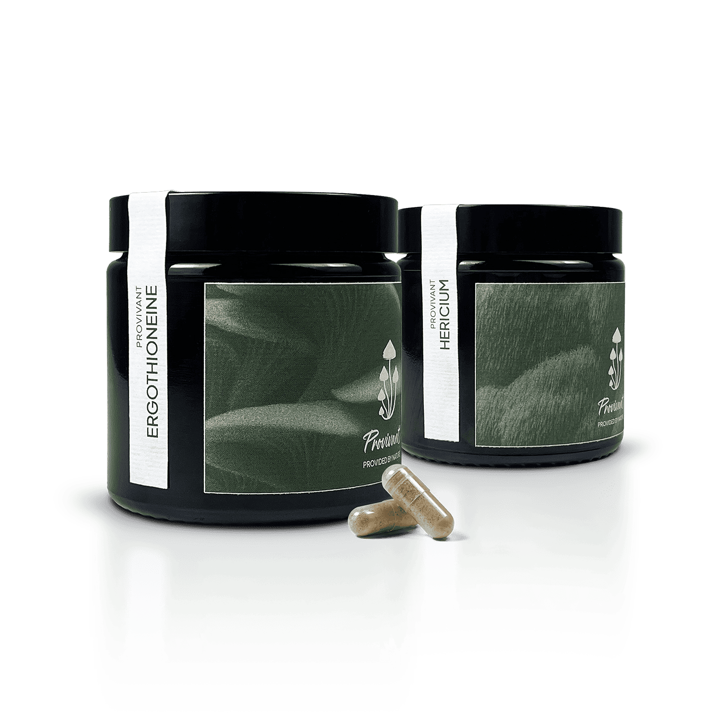 Pack Hericium & Ergothionéine